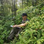 239 k%c3%a4cks large